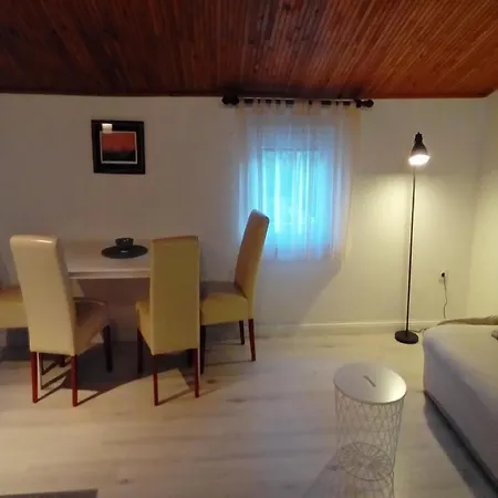 Spacious With Terrace 200 M Distant From The *